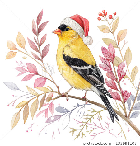 bird perched on soft watercolor botanical branches vibrant blue and cream feathers, wearing a tiny Santa hat bird perched on soft watercolor botanical branches vibrant blue and cream feathers, wearing a tiny Santa hat 133991105