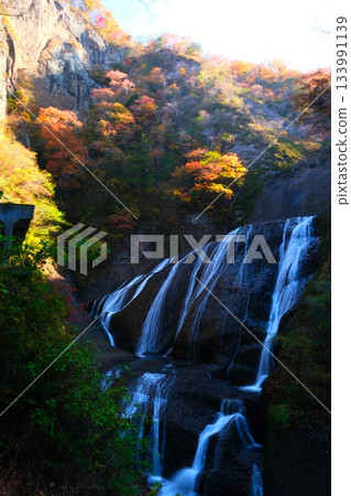 Fukuroda秋天秋葉 133991139