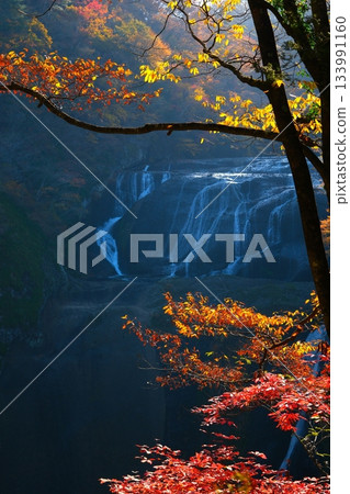 Autumn leaves of Fukuroda Falls 133991160