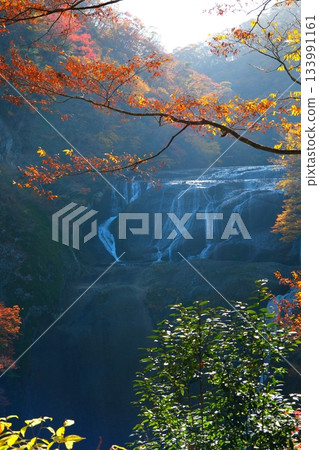 Fukuroda秋天秋葉 133991161