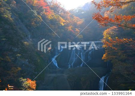 Autumn leaves of Fukuroda Falls Autumn leaves of Fukuroda Falls 133991164