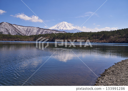 Mount Fuji and Lake Saiko in early spring in Yamanashi Prefecture Mount Fuji and Lake Saiko in early spring in Yamanashi Prefecture 133991286