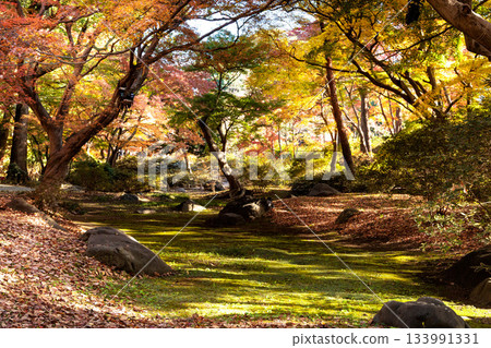 五彩斑斕的秋葉將周圍的景色裝飾得絢麗多彩。 133991331