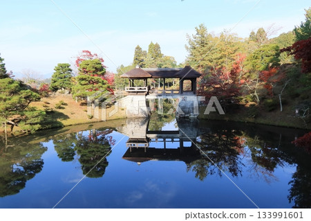 花園、秋葉倒映在池塘中等等。 花園、秋葉倒映在池塘中等等。 133991601
