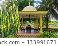 Tropical garden and rest area 133991671