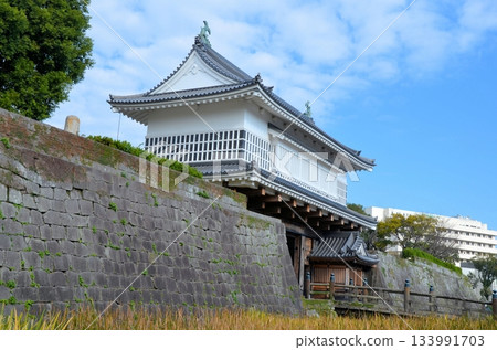 Kagoshima Castle Gate 133991703