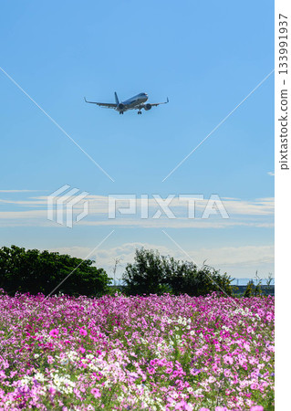 佐賀機場宇宙花園 佐賀機場宇宙花園 133991937