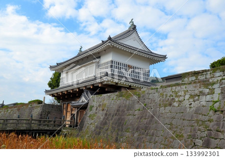 Kagoshima Castle Gate Kagoshima Castle Gate 133992301