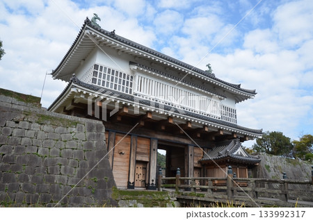 鹿兒島城門 133992317