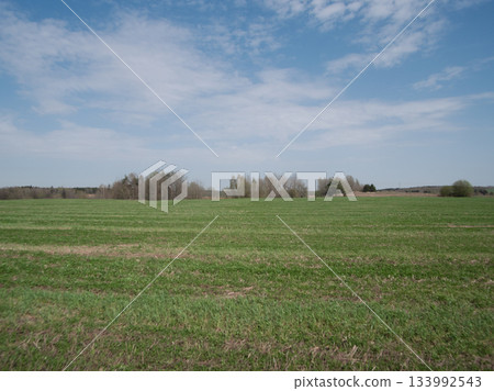 Vast green fields stretch out to the horizon, dotted with trees, under a bright blue sky filled with fluffy white clouds on a clear day. Vast green fields stretch out to the horizon, dotted with trees, under a bright blue sky filled with fluffy white clouds on a clear day. 133992543