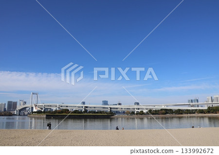 Rainbow Bridge and Odaiba Park viewed from Odaiba Seaside Park (Minato Ward, Tokyo) Rainbow Bridge and Odaiba Park viewed from Odaiba Seaside Park (Minato Ward, Tokyo) 133992672