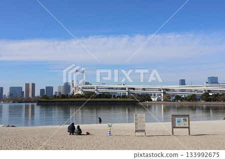 從台場海濱公園眺望彩虹橋和台場公園（東京港區） 133992675