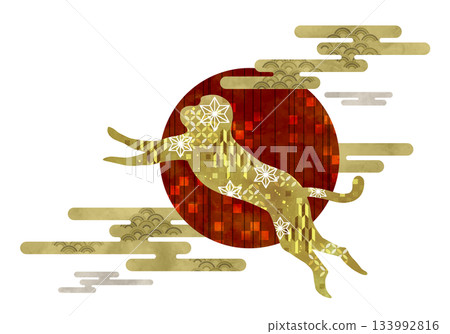 日本花紋猴與第一道陽光 133992816