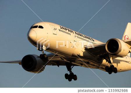 JAL passenger plane sunset 133992986