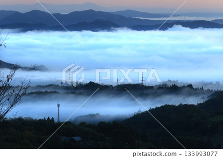 雲海 5375 雲海 5375 133993077
