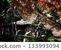 Shoin buried in autumn leaves 133993094