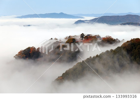 Castle in the Sky 6375 Castle in the Sky 6375 133993316