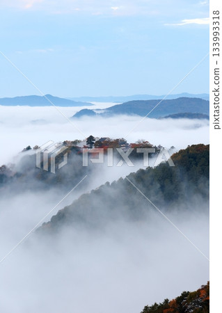 Castle in the Sky 6380 133993318