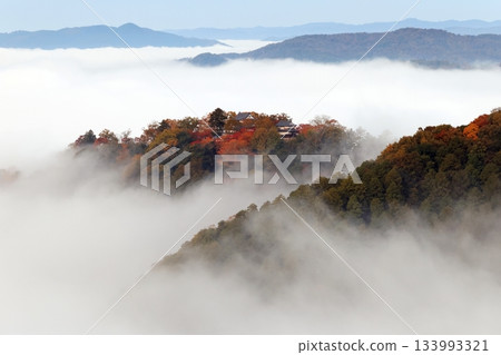 Castle in the Sky 6398 133993321