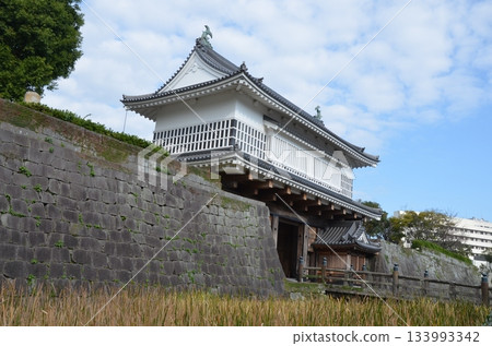 鹿兒島城門 鹿兒島城門 133993342