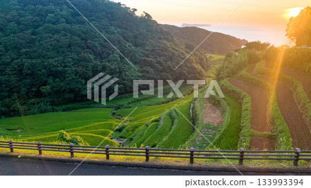 Hamanoura rice terraces, Saga Prefecture 133993394