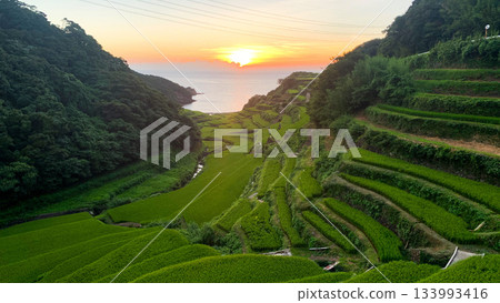 佐賀縣濱之浦梯田 133993416