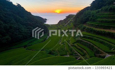 Hamanoura rice terraces, Saga Prefecture 133993421