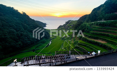 佐賀縣濱之浦梯田 佐賀縣濱之浦梯田 133993424