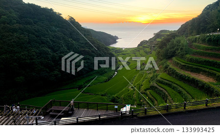 佐賀縣濱之浦梯田 133993425