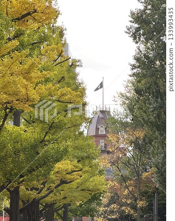 秋日北海道政府紅磚樓 133993435