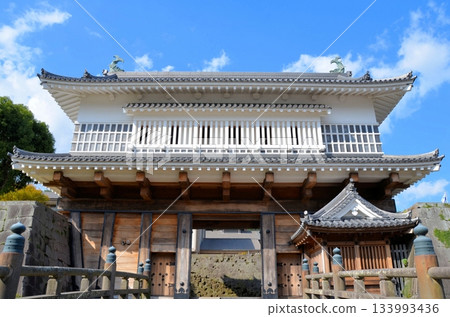 Kagoshima Castle Gate 133993436