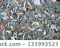 Frosted fallen leaves 133993523