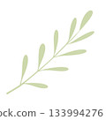 Green leave sbranch 133994276