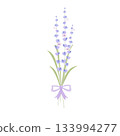 Bouquet of lavender  133994277