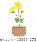 yellow flowers in a pot 133994278