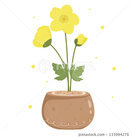 yellow flowers in a pot yellow flowers in a pot 133994278