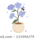 Violet flower in the pot 133994279