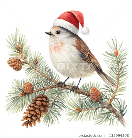 The cutest bird in the world  Santa hat 133994298