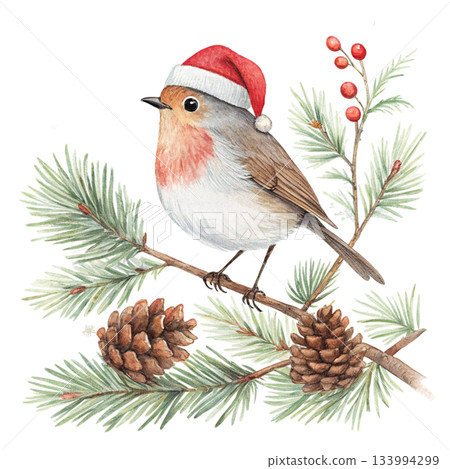 The cutest bird in the world  Santa hat 133994299