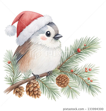 The cutest bird in the world  Santa hat 133994300