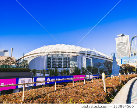 Tokyo Dome   133994560