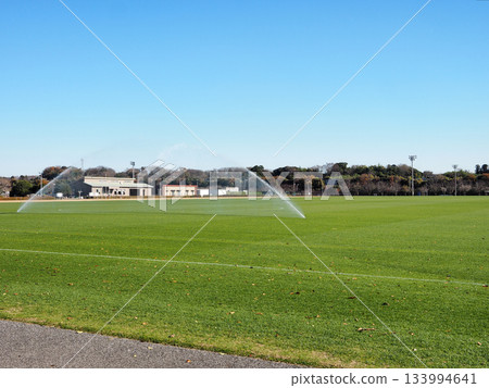 Ichihara Sports Park 133994641