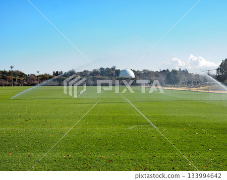 市原體育公園 133994642