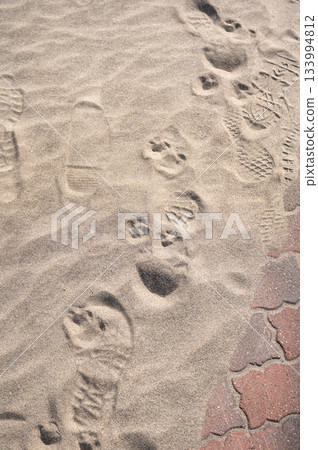 沙地圖案背景，混合人類和動物的腳印 133994812