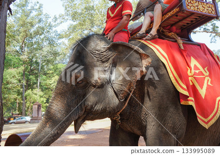 Tourist elephants walking around the ruins in a Cambodian city 133995089