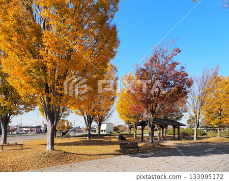 Kamusa Kenkyu Park (Ichihara City) Kamusa Kenkyu Park (Ichihara City) 133995172