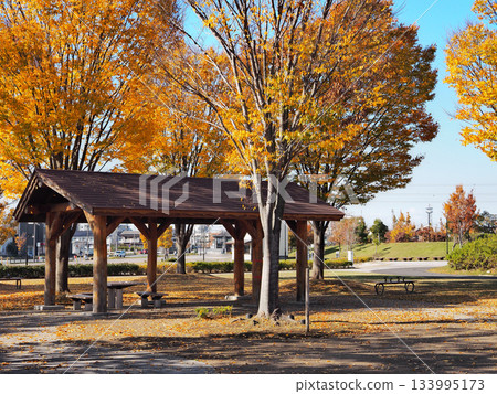 Kamusa Kenkyu Park (Ichihara City) Kamusa Kenkyu Park (Ichihara City) 133995173