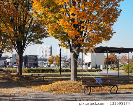 Kamusa Kenkyu Park (Ichihara City) Kamusa Kenkyu Park (Ichihara City) 133995174
