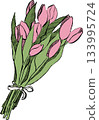 Elegant Bouquet of Pink Tulips Hand Drawn Floral Illustration Spring Flowers Botanical Art 133995724