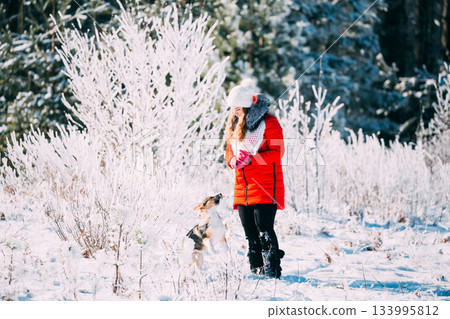 Young Beautiful Pretty Caucasian Girl Woman Dressed In Red Jacket And White Hat Playing Wiht Puppy Of Mixed Breed Dog In Snowy Forest In Winter Day 133995812